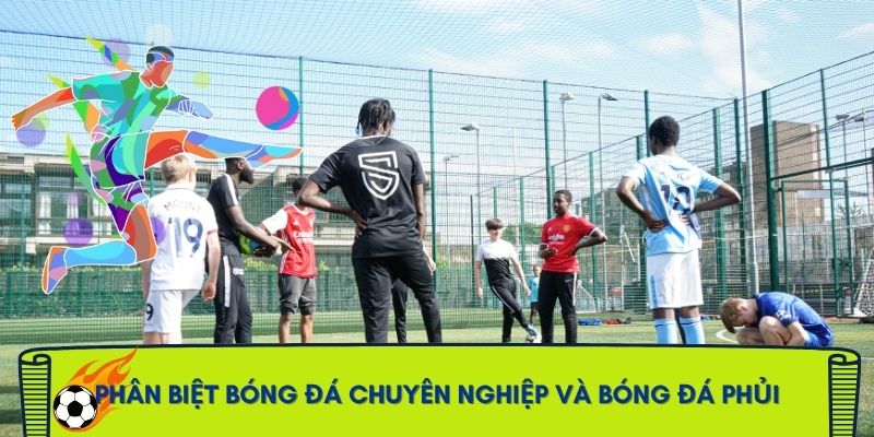 da-phui-la-gi-cach-phan-biet